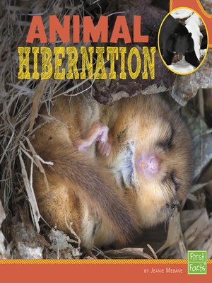 cover image of Animal Hibernation